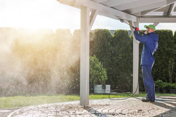 Best Boat and Dock Cleaning  in Prceton, IN