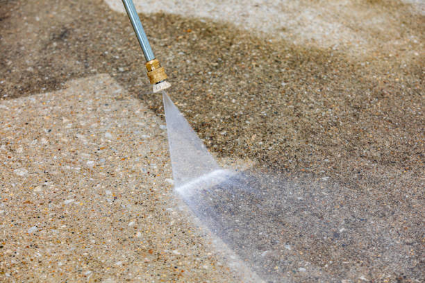 Best Sidewalk and Walkway Cleaning  in Prceton, IN